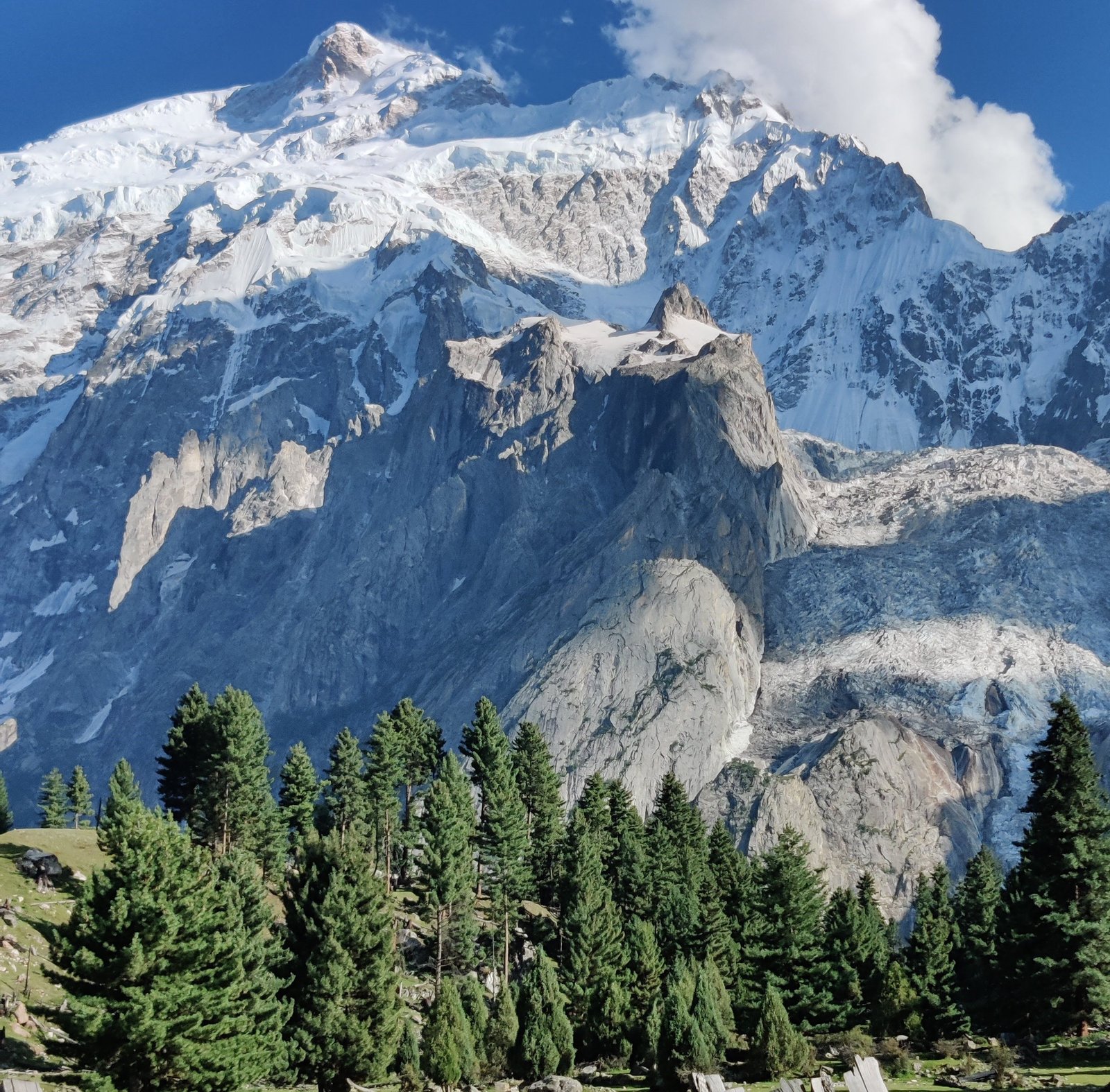 Rakaposhi & Diran Peak Base Camp Trek